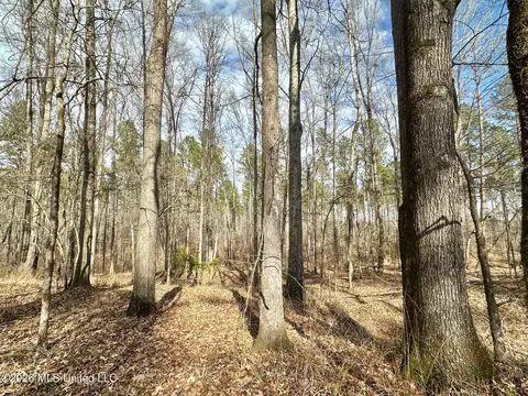 001 Dry Grove Rd, Terry, MS 39170 photo 10