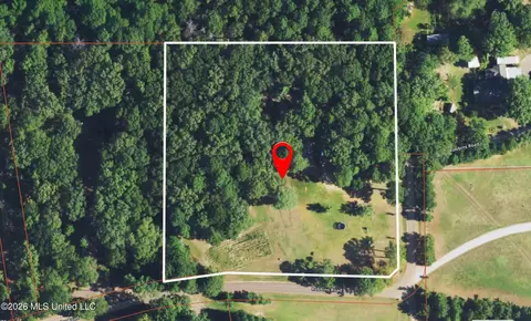 177 Robbins Rd, Brandon, MS 39042 photo 6
