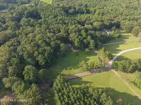 177 Robbins Rd, Brandon, MS 39042 photo 10