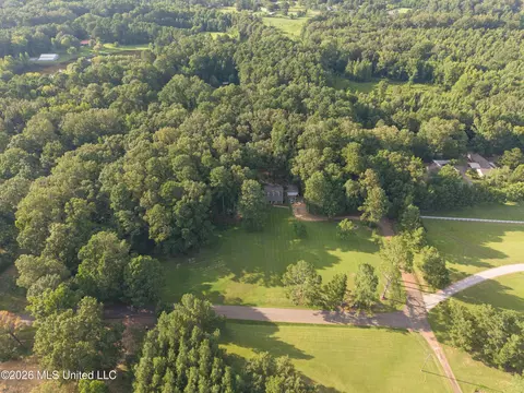 177 Robbins Rd, Brandon, MS 39042 photo 5