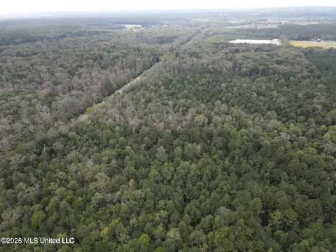 Mississippi 35, Forest, MS 39074 photo 15