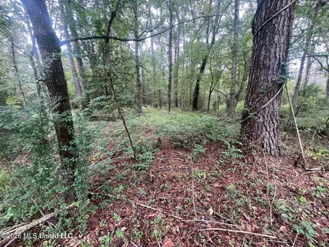 Mississippi 35, Forest, MS 39074 photo 42