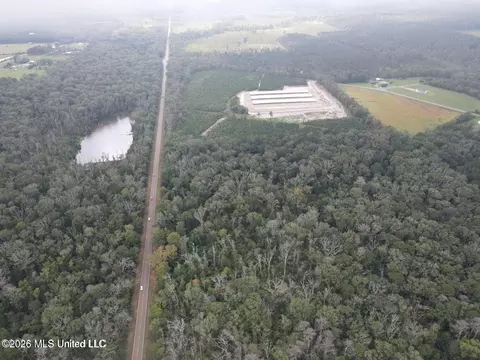 Mississippi 35, Forest, MS 39074 photo 29