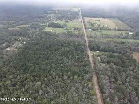 Mississippi 35, Forest, MS 39074 photo 28
