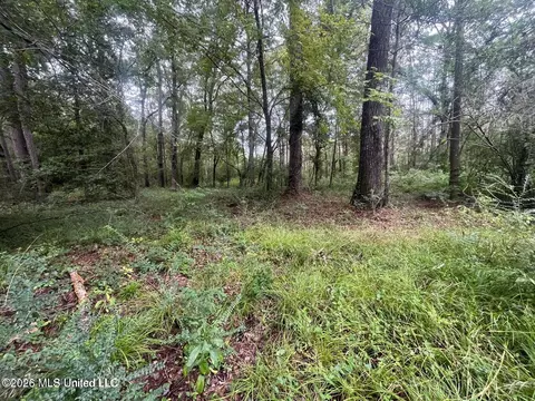 Mississippi 35, Forest, MS 39074 photo 40