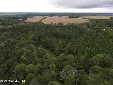 Mississippi 35, Forest, MS 39074 photo 16