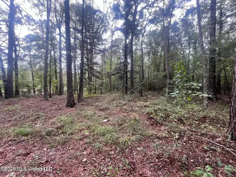 Mississippi 35, Forest, MS 39074 photo 41
