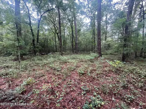 Mississippi 35, Forest, MS 39074 photo 32