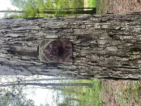 Mississippi 35, Forest, MS 39074 photo 46