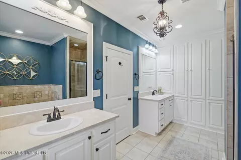 Bath - 130 Grayhawk Dr, Madison, MS 39110 photo 2 of 5