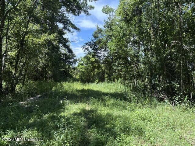 N Juanita Lot 1156, Ocean Springs, MS 39564