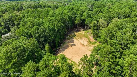 Hunt Circle, Madison, MS 39110 photo 6