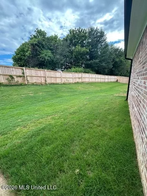 Exterior - 6039 Hickory Point Dr, Walls, MS 38680 photo 2 of 3