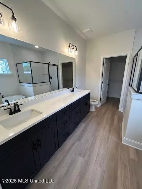Bath - 6039 Hickory Point Dr, Walls, MS 38680 photo 2 of 4