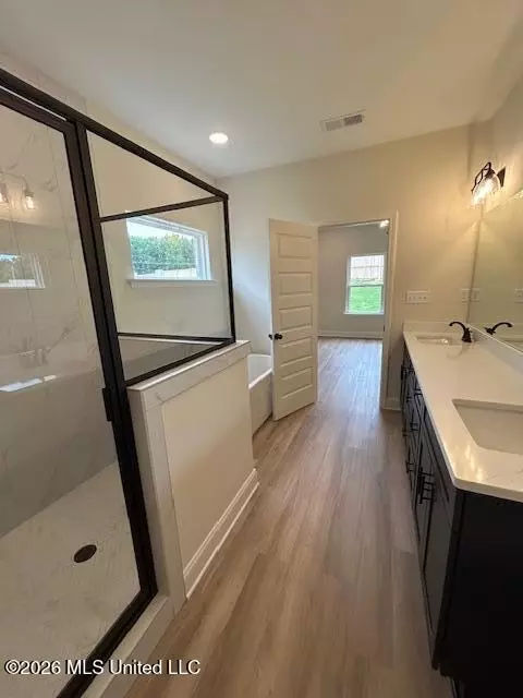 Bath - 6039 Hickory Point Dr, Walls, MS 38680 photo 3 of 4