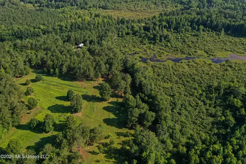 Mississippi 12, Starkville, MS 39759