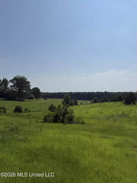Monte Vista Road, Eupora, MS 39744 photo 22