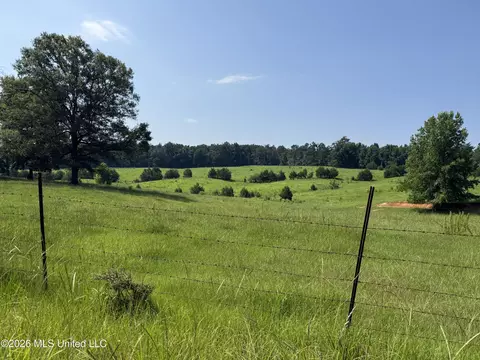 Monte Vista Road, Eupora, MS 39744 photo 6