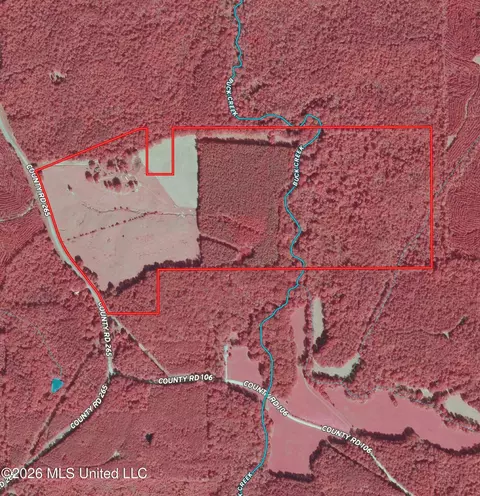 Monte Vista Road, Eupora, MS 39744 photo 52