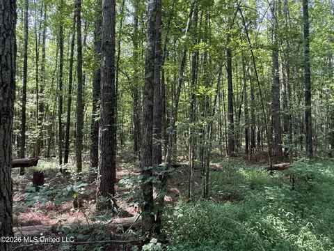 Monte Vista Road, Eupora, MS 39744 photo 41