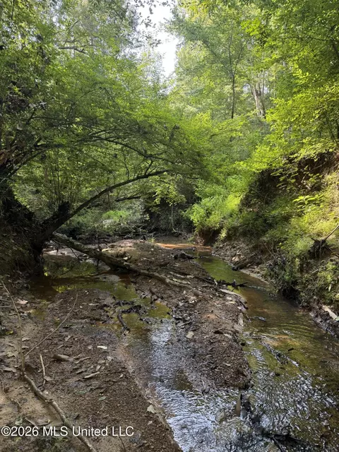 Monte Vista Road, Eupora, MS 39744 photo 35