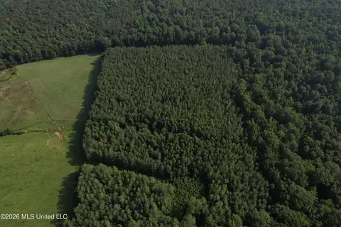Monte Vista Road, Eupora, MS 39744 photo 46