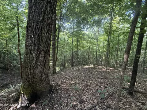 Monte Vista Road, Eupora, MS 39744 photo 31