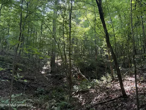 Monte Vista Road, Eupora, MS 39744 photo 32