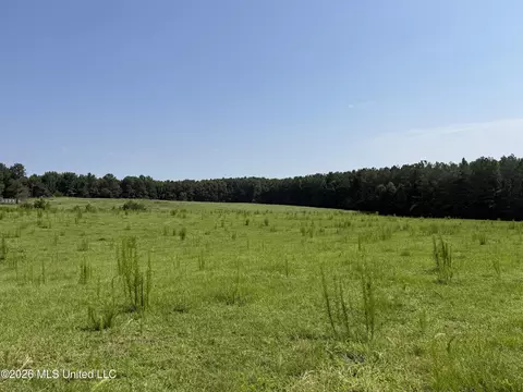 Monte Vista Road, Eupora, MS 39744 photo 26