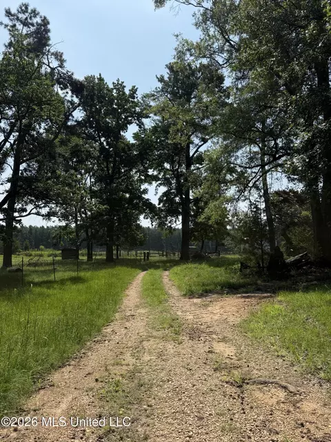 Monte Vista Road, Eupora, MS 39744 photo 28