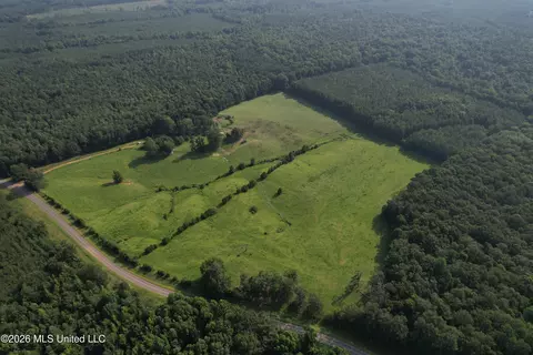 Monte Vista Road, Eupora, MS 39744 photo 48