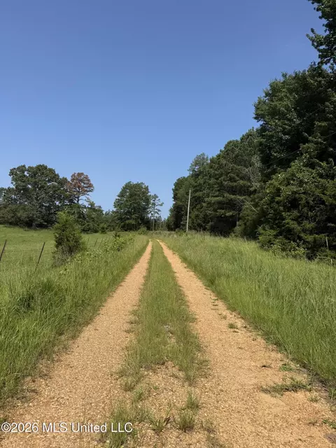 Monte Vista Road, Eupora, MS 39744 photo 24
