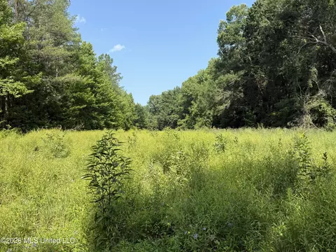 Monte Vista Road, Eupora, MS 39744 photo 16