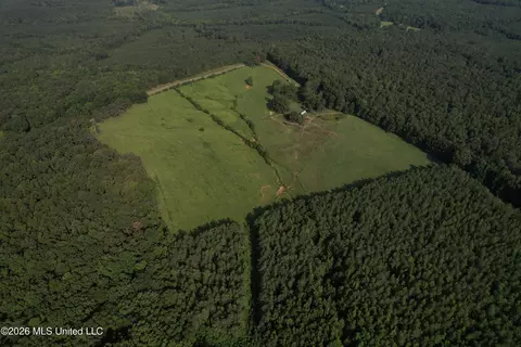 Monte Vista Road, Eupora, MS 39744 photo 45