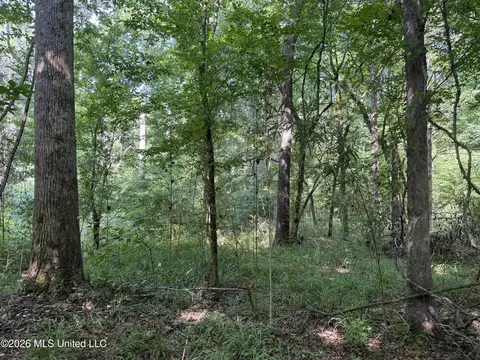 Monte Vista Road, Eupora, MS 39744 photo 34