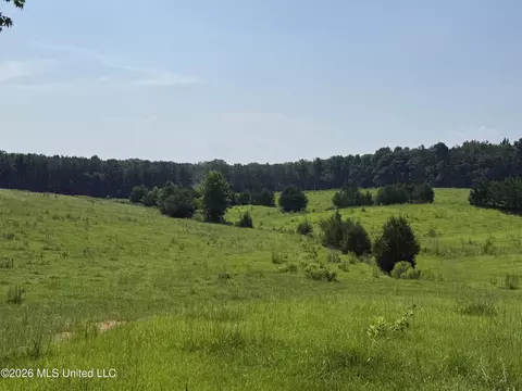 Monte Vista Road, Eupora, MS 39744 photo 3