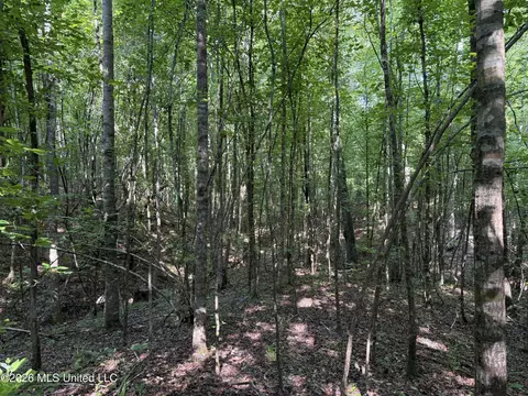 Monte Vista Road, Eupora, MS 39744 photo 29