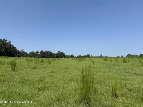 Monte Vista Road, Eupora, MS 39744 photo 27
