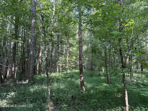 Monte Vista Road, Eupora, MS 39744 photo 8