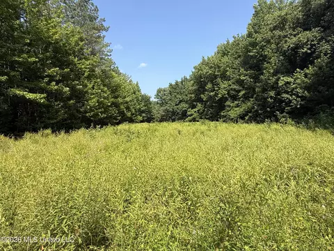 Monte Vista Road, Eupora, MS 39744 photo 17