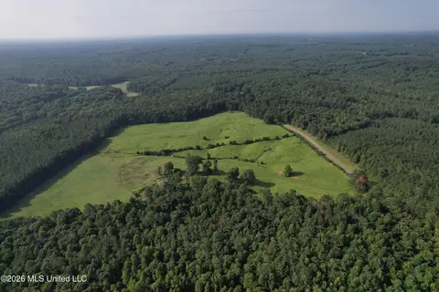 Monte Vista Road, Eupora, MS 39744 photo 50