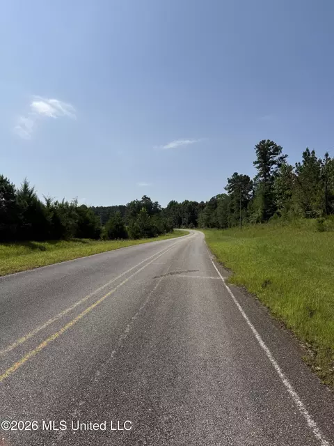 Monte Vista Road, Eupora, MS 39744 photo 25