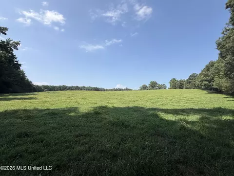 Monte Vista Road, Eupora, MS 39744 photo 4