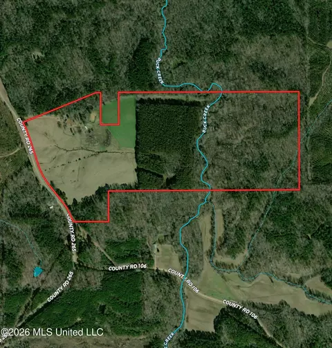 Monte Vista Road, Eupora, MS 39744 photo 51