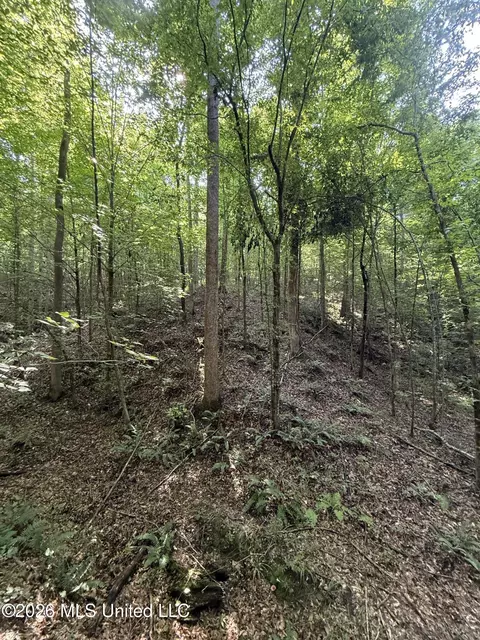 Monte Vista Road, Eupora, MS 39744 photo 12