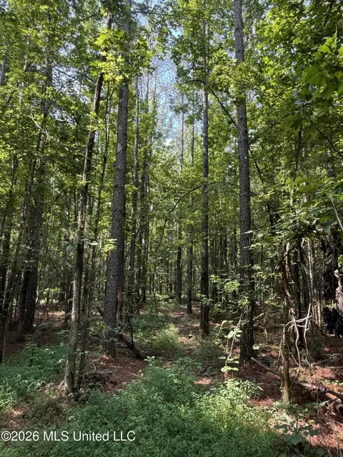 Monte Vista Road, Eupora, MS 39744 photo 18