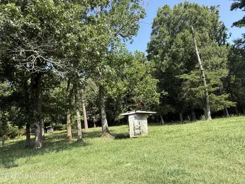 Monte Vista Road, Eupora, MS 39744 photo 5