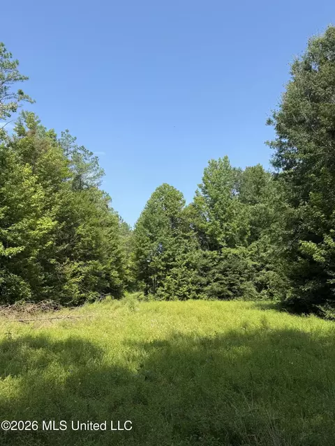 Monte Vista Road, Eupora, MS 39744 photo 40