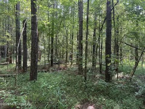 Monte Vista Road, Eupora, MS 39744 photo 39