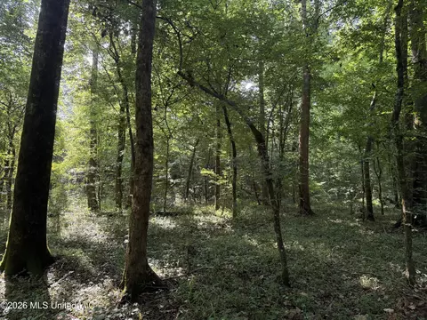 Monte Vista Road, Eupora, MS 39744 photo 36
